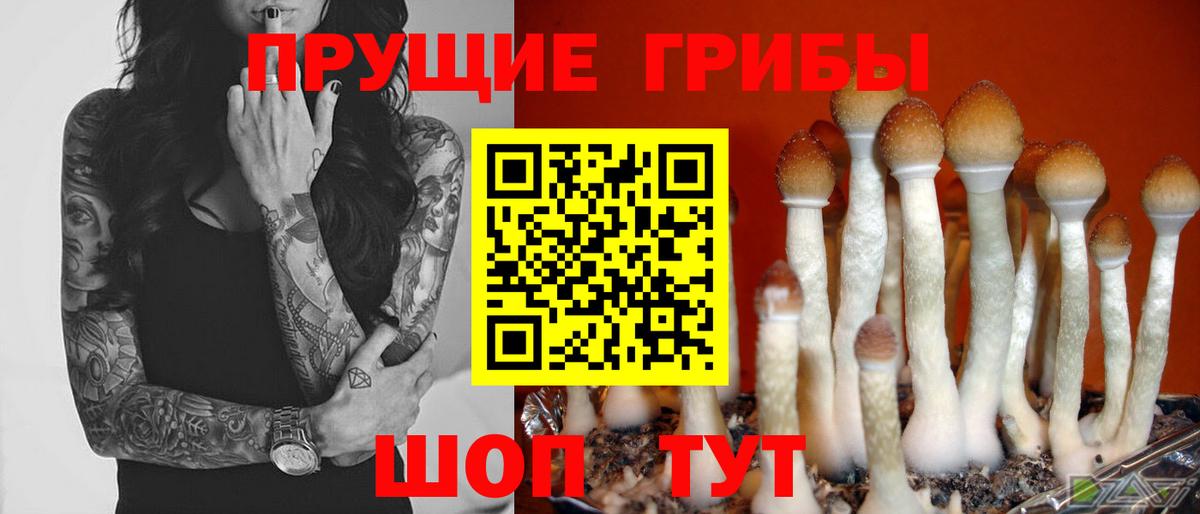 COCAIN  Вход с VPN  МДМА  Гашиш  Карачаевск  Каннабис  Мефедрон кристаллы  ГАШ 